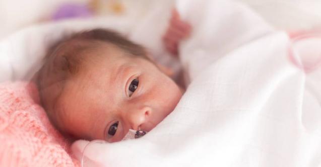 Prematüre Bebeklerde İzlenen Protokol Nedir 