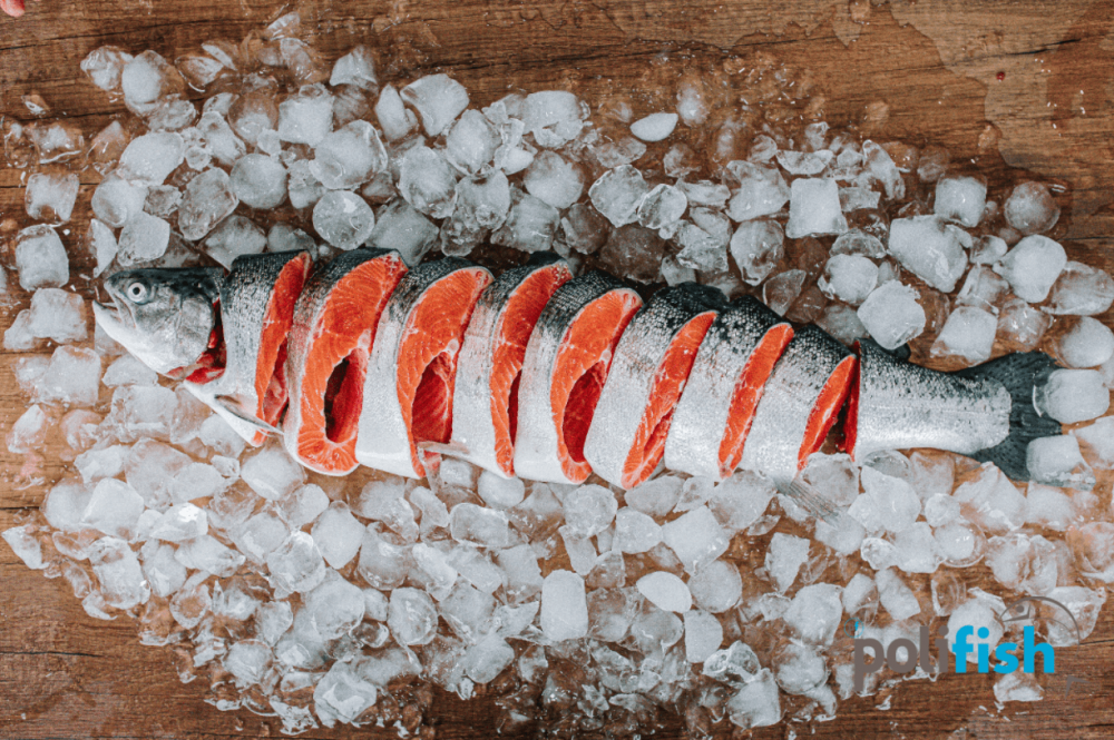 Dondurulmuş balık ne kadar sağlıklı?